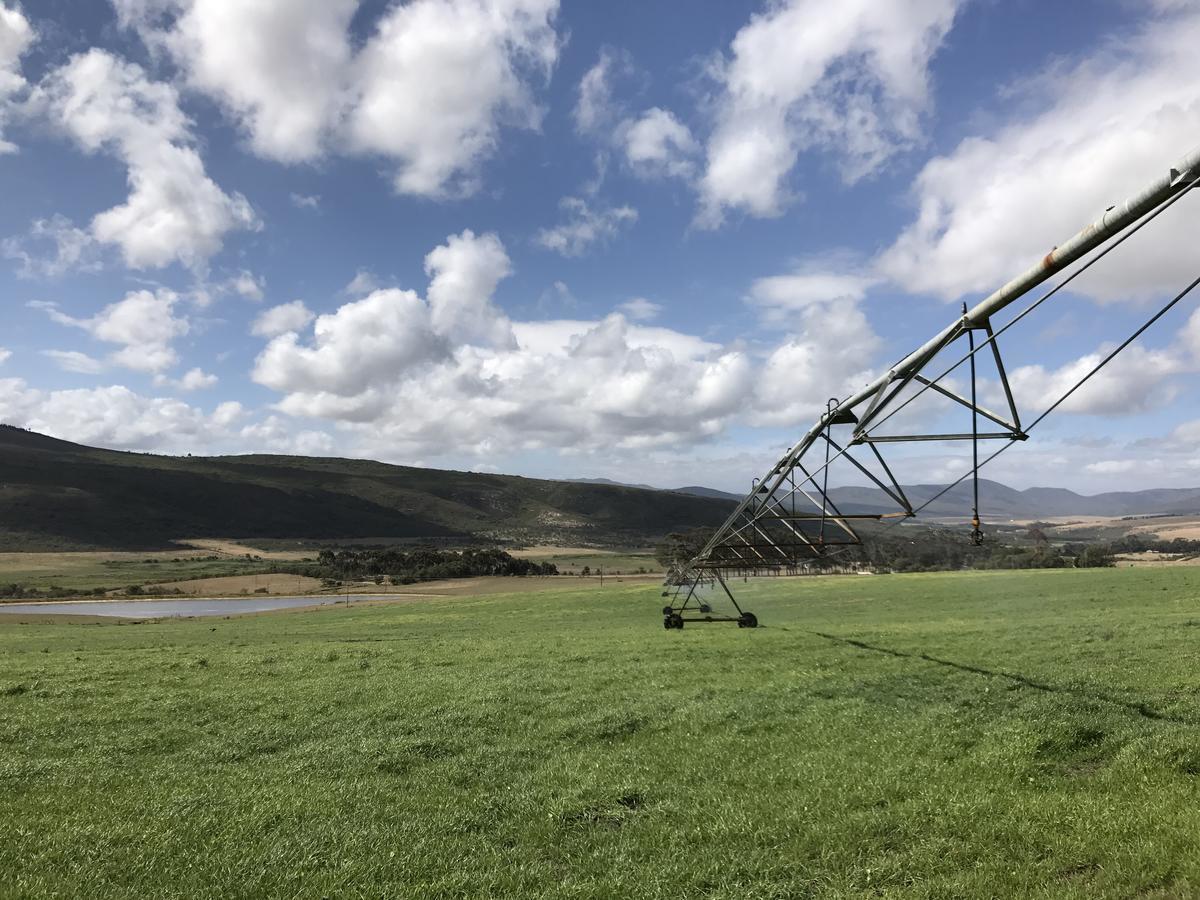 Goedvertrou Guest Farm Papiesvlei Экстерьер фото