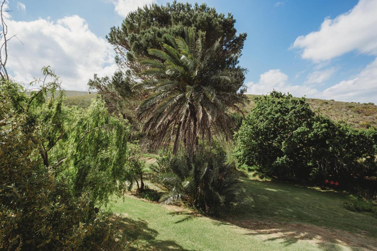 Goedvertrou Guest Farm Papiesvlei Экстерьер фото