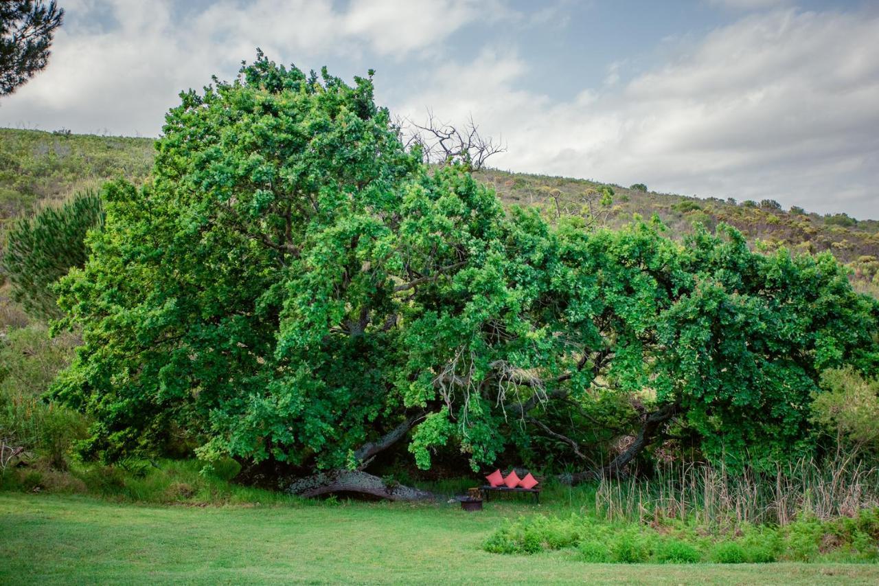 Goedvertrou Guest Farm Papiesvlei Экстерьер фото
